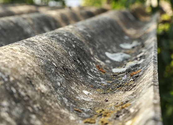 Welldach aus Asbest (Foto: IG Bau)