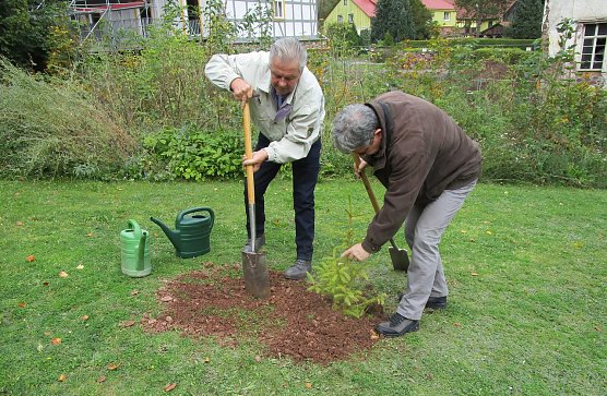 Baum gepflanzt (Foto: privat)