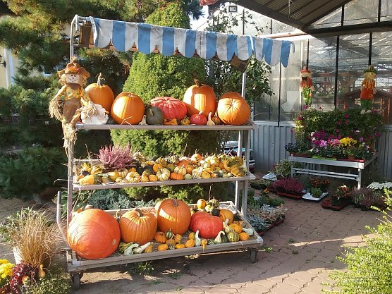 K&uuml;rbis- und Zwiebelmarkt in Nordhausen (Foto: Pressestelle Stadt Nordhausen)