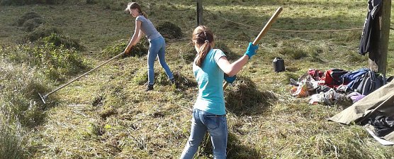 Jugendliche erhalten die Artenvielfalt (Foto: privat)