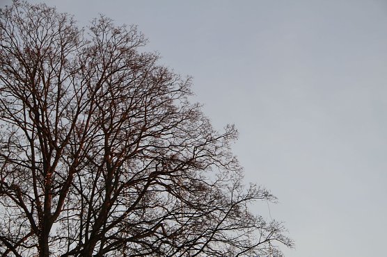 Wetterbild (Foto: Angelo Glashagel)