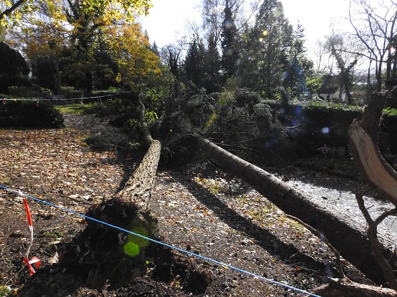 Aufräumarbeiten auf dem Hauptfriedhof (Foto: Peter Blei) Aufräumarbeiten auf dem Hauptfriedhof (Foto: Peter Blei)