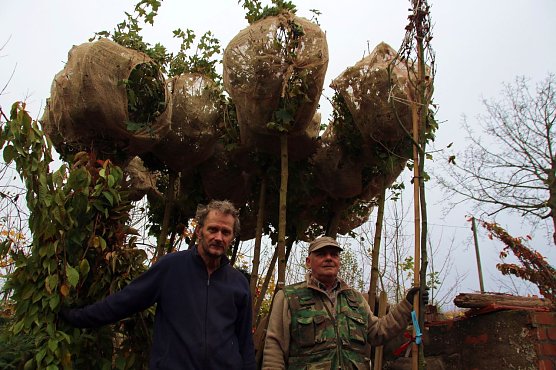 Mehr Gr&uuml;nd f&uuml;r Friedh&ouml;fe (Foto: P. Grabe, Pressestelle)