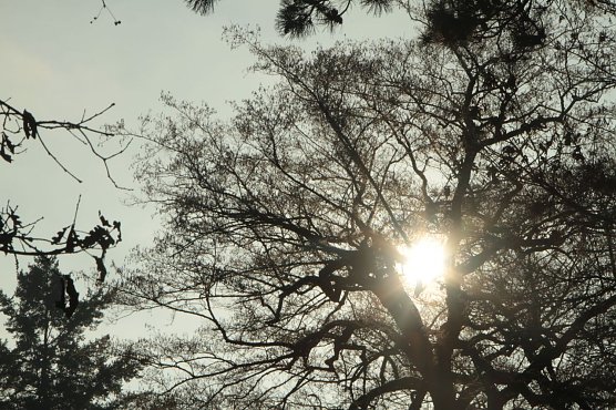 Wetterbild (Foto: Angelo Glashagel) Wetterbild (Foto: Angelo Glashagel)