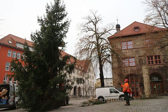 Weihnachtsbaum vor dem Nordh&auml;user Rathaus (Foto: Angelo Glashagel)