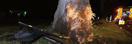 Mehrere B&auml;ume touchiert (Foto: nnz)