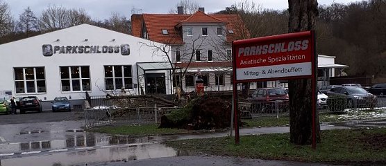 Baum umgefallen (Foto: privat)