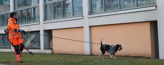 Rettungshundestaffel im Einsatz am S&uuml;dharz-Klinikum (Foto: Angelo Glashagel)