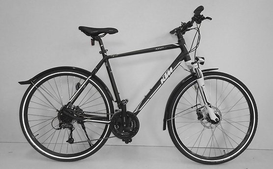 Gestohlenes Fahrrad (Foto: privat)