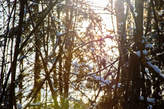Wetterbild (Foto: Gernot Thelemann)