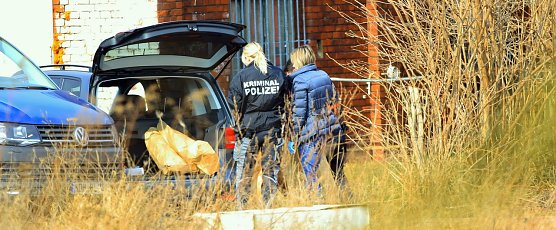 Hier werden die Pflanzen abtransportiert (Foto: S. Dietzel)