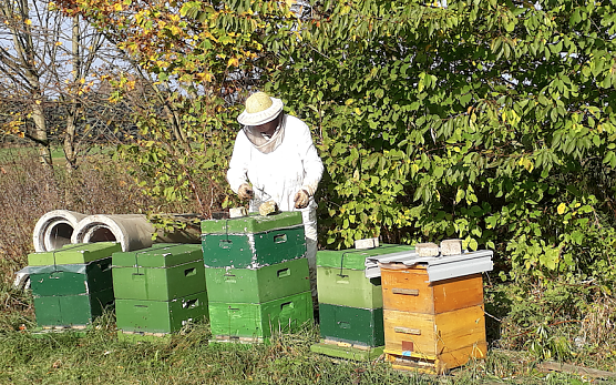 Der Imker Henning Illers aus Wieda demn&auml;chst wieder zu Gast in Niedersachswerfen (Foto: BUND Kreisverband Nordhausen)