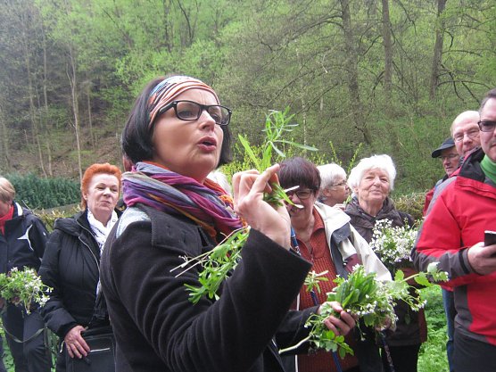 Die Natur erwacht aus ihrem Winterschlaf und erfreut die Menschen mit dem ersten Gr&uuml;n. Gesunde essbare Kr&auml;uter werden w&auml;hrend dieser Wanderung von der Kr&auml;uterfrau Sigrun Grahl vorgestellt. (Foto: Anja Apel)