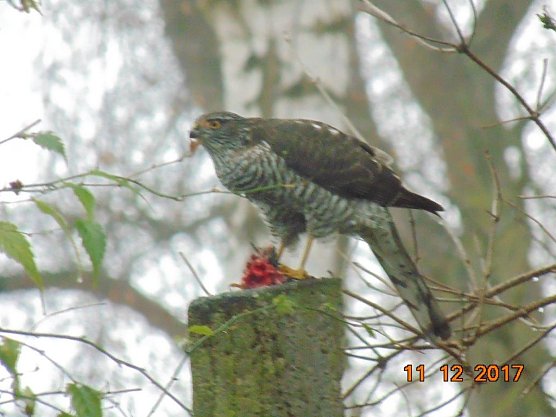 Mit dem Fotoapparat auf der Pirsch (Foto: privat)