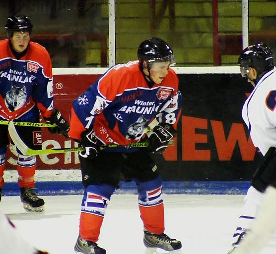 Stiere? (Foto: R. Koch) Stiere? (Foto: R. Koch)