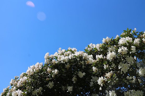 Wetterbild (Foto: Angelo Glashagel)