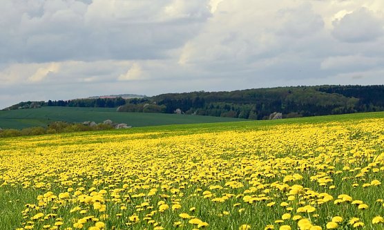 Wetterbild (Foto: Gernot Thelemann)