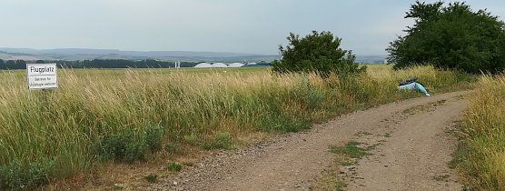 Einfach in die Natur gekippt (Foto: A. Knoblauch)