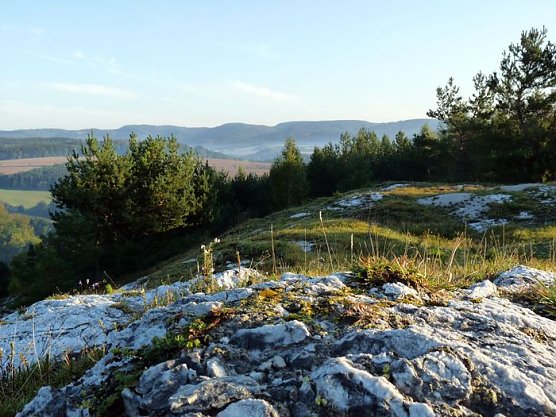 Verfahren beginnt (Foto: pln)