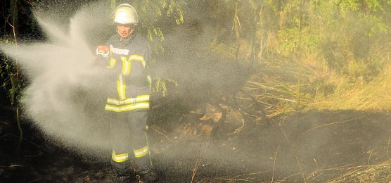 B&ouml;schungsbrand in Kleinfurra (Foto: S. Dietzel)