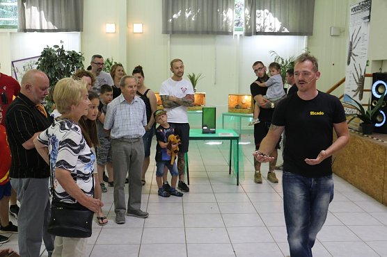 Ricado K&ouml;llner besitzt heute &uuml;ber 200 Spinnen, Skopione, Schrecken und anderes Getier (Foto: Angelo Glashagel)