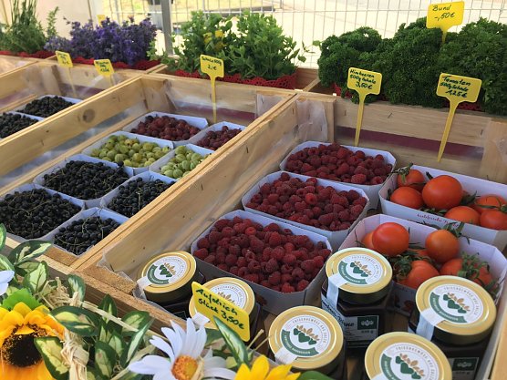 Frische Bioware aus dem Gartenbau Salza (Foto: Horizont e.V.)