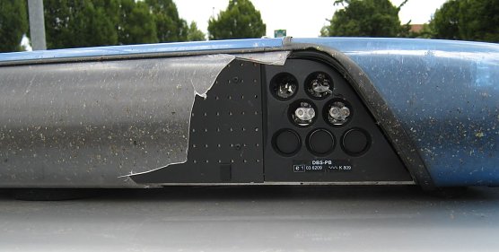 Bussard war auf Kollisionskurs (Foto: API)