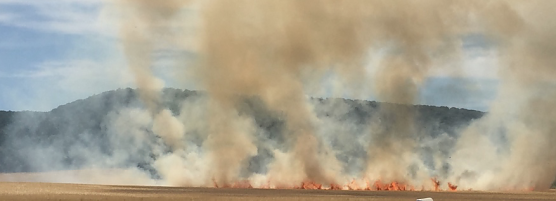 Feldbrand zwischen Gro&szlig;- und Kleinfurra zu Beginn des Monats (Foto: S. Dietzel)