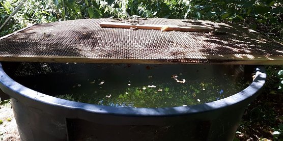 Das Fass ist wieder voll (Foto: privat)