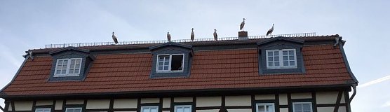 Zwischenstopp in Windehausen (Foto: Heike Schwade)