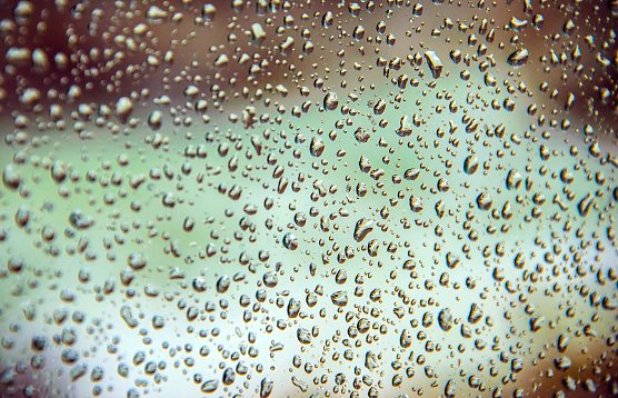 Das w&auml;re doch mal was... (Foto: Gernot Thelemann)