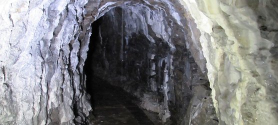 Abtauchen, Staunen und Schauen (Foto: L. Schubert)