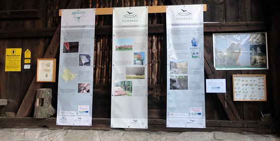 Flatterpoint (Foto: privat)