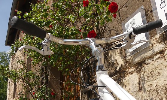 Radpilgern nach Elende am 19. August (Foto: R. Englert)