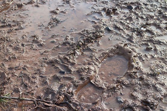 Wetterbild (Foto: Angelo Glashagel)