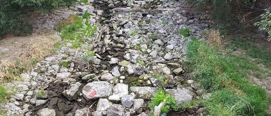 Da flie&szlig;t nichts mehr (Foto: I. Schieke)