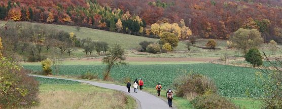 S&uuml;dharz-Hunderter im vergangenen Jahr (Foto: B. Schwarzberg)