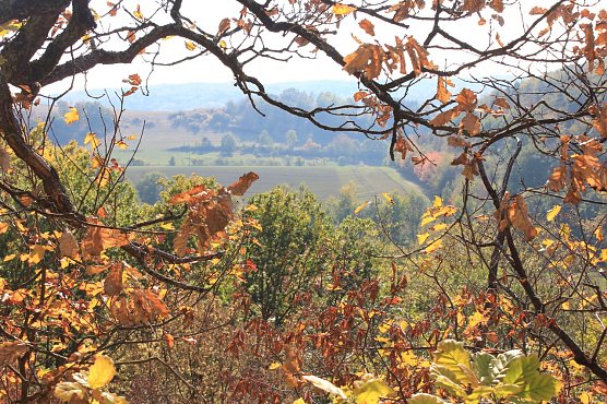 Herbstblick (Foto: Anja Apel)