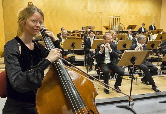 Tr&auml;umereien im Kammerkonzert der Max-Bruch-Gesellschaft (Foto: Tilman Graner)