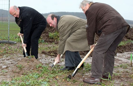 Gestochen (Foto: J. Piper) Gestochen (Foto: J. Piper)