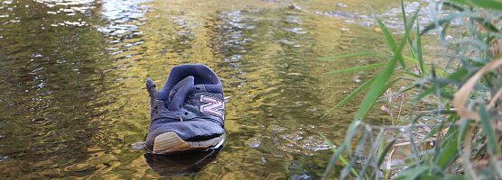 Aufr&auml;umaktion an der Zorge (Foto: Angelo Glashagel)