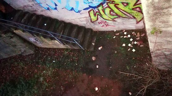 Wei&szlig;brot einfach weggeschmissen (Foto: privat)