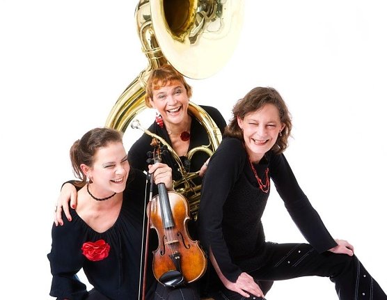 Klatschmohn - demn&auml;chst im Tabakspeicher (Foto: privat)