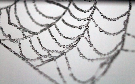 Wetterbild (Foto: Gernot Thelemann)