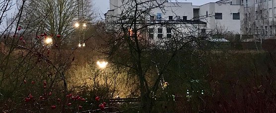 Die Bergungsarbeiten gestalten sich schwierig (Foto: privat)