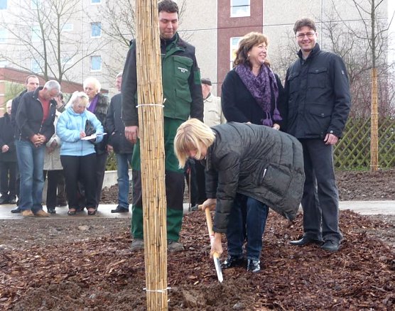 In die Erde gestochen (Foto: nnz)