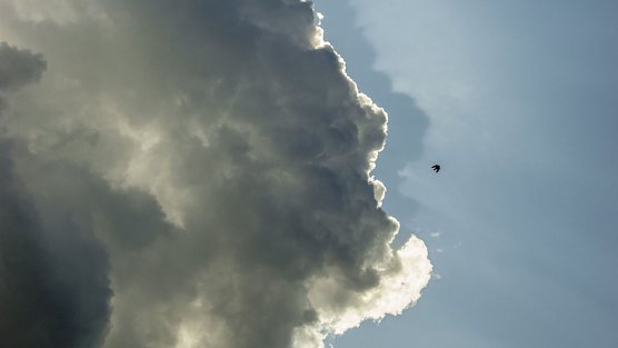 Es wird st&uuml;rmisch (Foto: Gernot Thelemann)