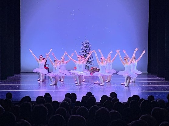 Die Eleven des Tanzstudio Radeva brachten die Geschichte von Clara und ihrem Nussknacker auf die B&uuml;hne (Foto: Dimitar Radev)