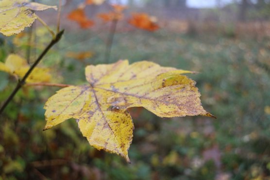 Wetterbild (Foto: Angelo Glashagel) Wetterbild (Foto: Angelo Glashagel)