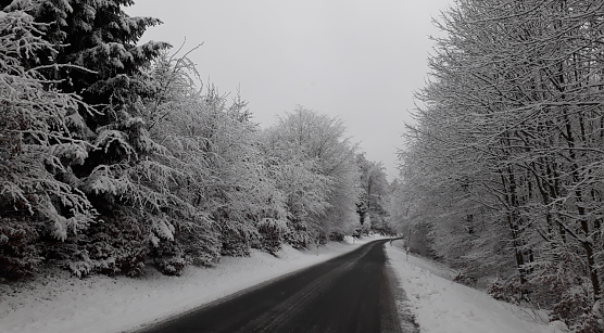 Heute auf dem Weg von Rothesütte nach Sophienhof (Foto: privat) Heute auf dem Weg von Rothesütte nach Sophienhof (Foto: privat)